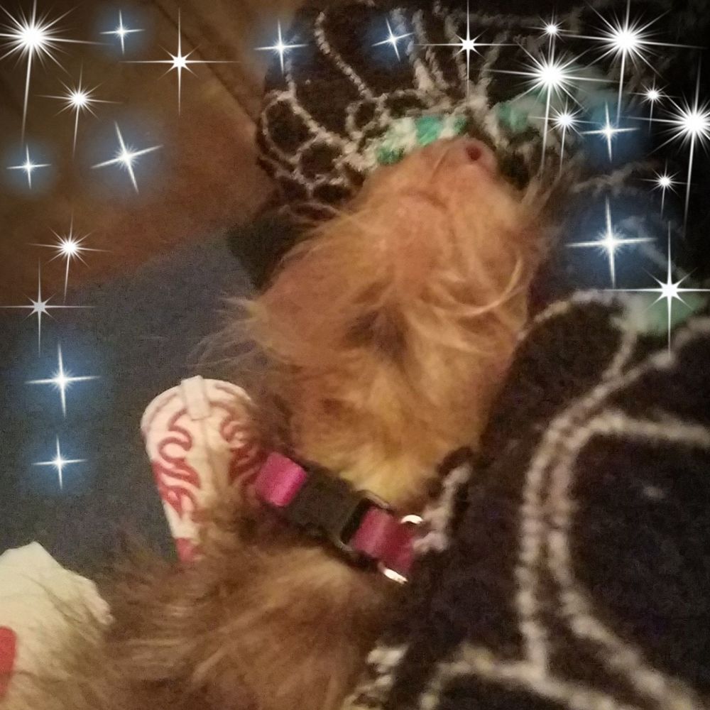 Meet your Posher, Jackie